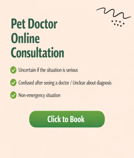 Telemedicine Service